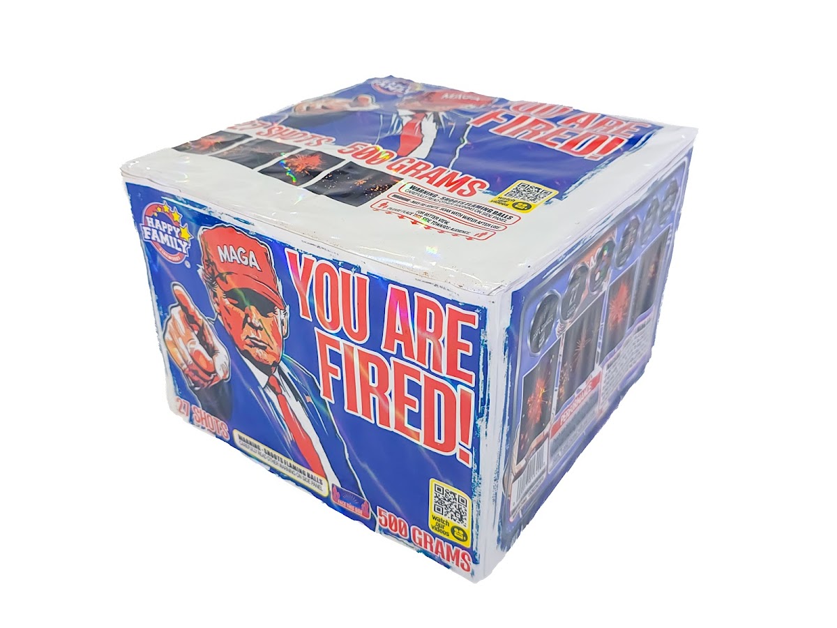 You Are Fired!