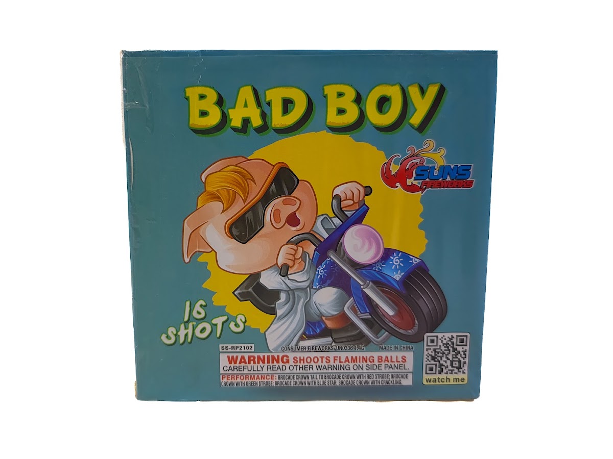 Bad Boy